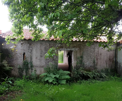 Vue jardin, ancien pressoir en pierre avant réhabilitation à Vertou en Loire-Atlantique